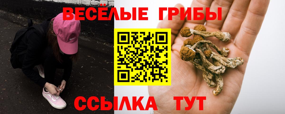 Галлюциногенные грибы MAGIC MUSHROOMS Зеленокумск